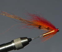 ���� �������� �� ���� ����� Skitle shrimp